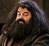 Avatar for Hagrid