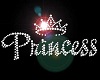 princess2007