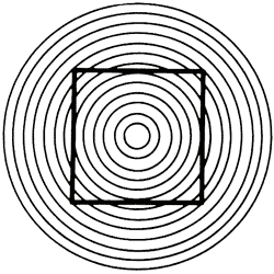 Circle Square? Optical Illusion